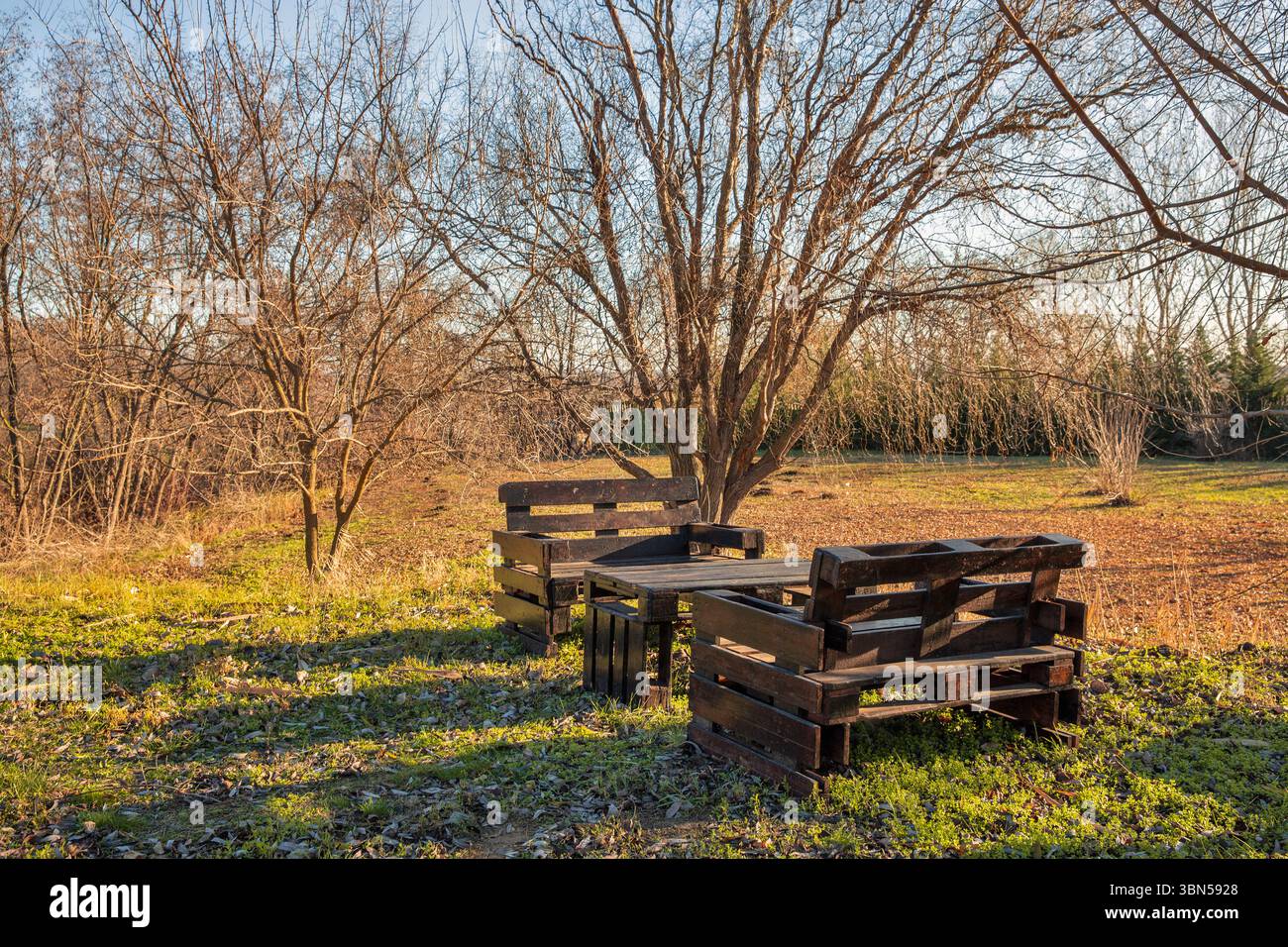 Jardin d'automne avec meubles de jardin fabriqués à partir de palettes industrielles en bois Banque D'Images