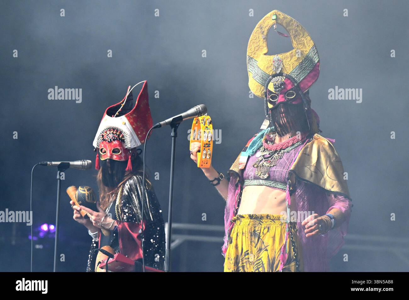 Somerset, Royaume-Uni. 29 juin 2025. Chèvre jouant pendant le festival de Glastonbury à Worthy Farm dans le Somerset. Le crédit photo devrait se lire comme suit : Matt Crossick/Empics/Alamy Live News Banque D'Images