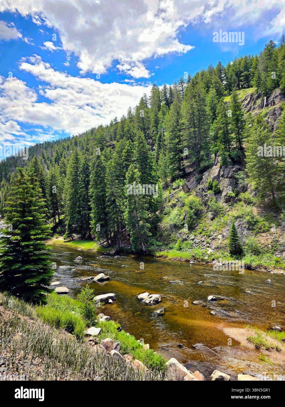 Une rivière rocheuse serpente à travers une forêt dense à feuilles persistantes à la base de falaises abruptes dans les Rocheuses du Colorado. - Image de stock capturée avec un smartphone