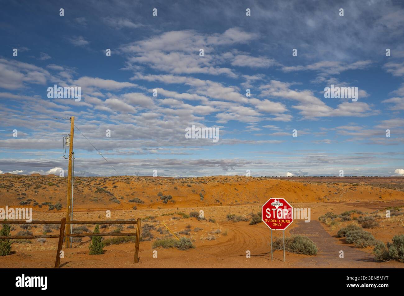 Courbes de grès ensoleillées et formes fluides à Lower Antelope Canyon, le canyon à fente emblématique de l'Arizona. Banque D'Images