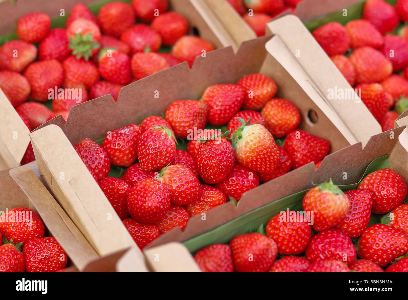pile de fraises dans une boîte en papier en solde. Banque D'Images