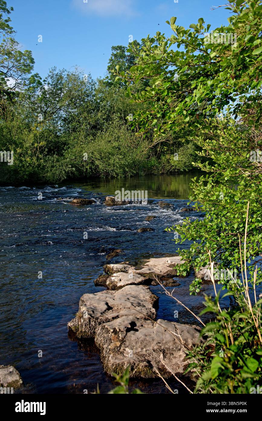 Vue sur la rivière Liffey à Castletown au printemps, Celbridge, Irlande Banque D'Images
