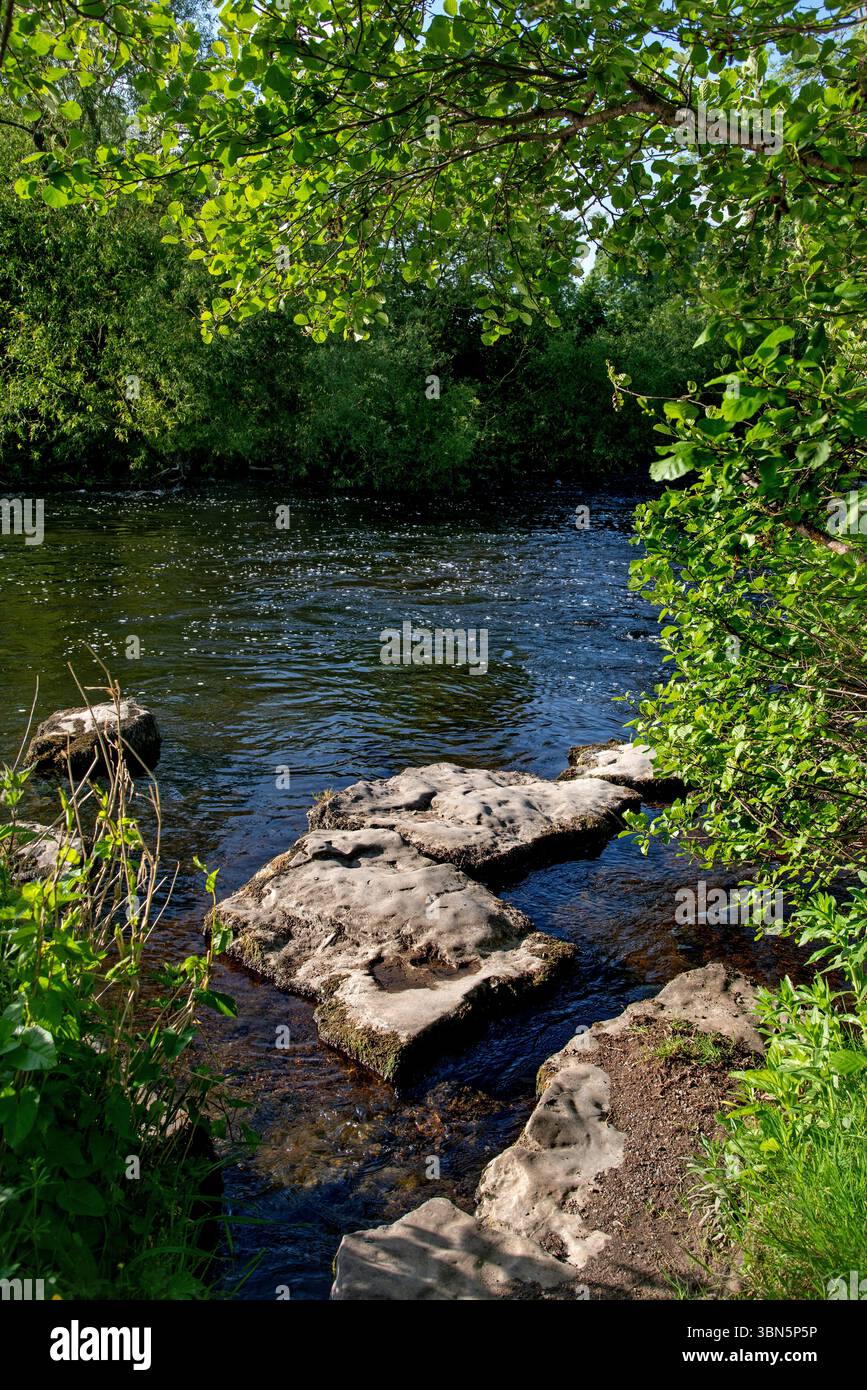 Vue sur la rivière Liffey à Castletown au printemps, Celbridge, Irlande Banque D'Images