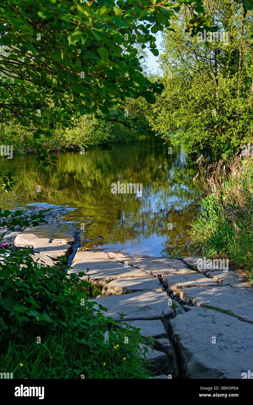 Vue sur la rivière Liffey à Castletown au printemps, Celbridge, Irlande Banque D'Images