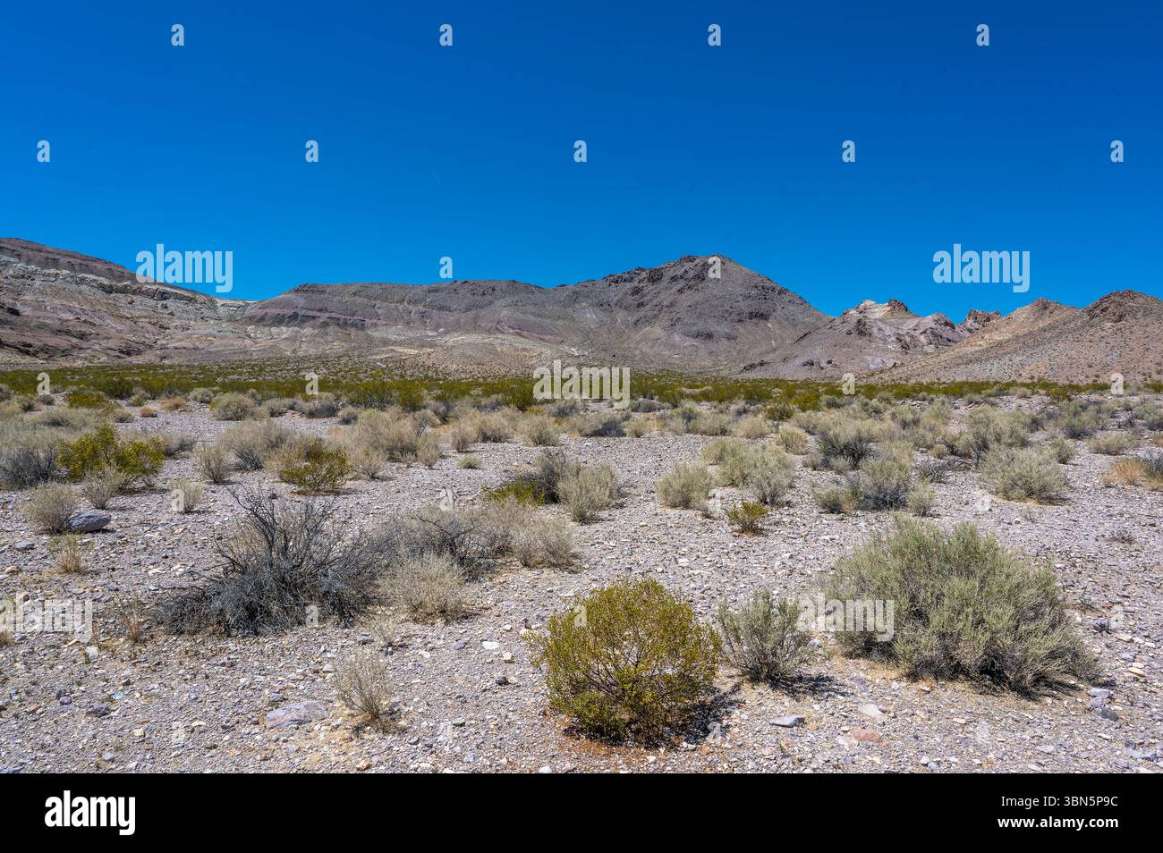 Paysage désertique éloigné du Nevada avec un premier plan rocheux et des collines ensoleillées sous un ciel bleu clair. Banque D'Images