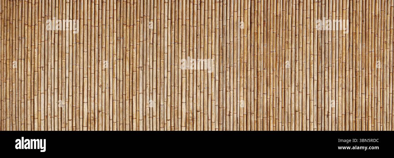 texture horizontale de clôture en bambou sec pour le motif et l'arrière-plan. Banque D'Images
