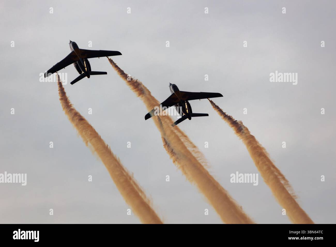 Radom, Pologne - 26 août 2023 : Red Bull Flying Bulls Alpha Jet. Aviation civile et générale. Affichage Airshow. Banque D'Images
