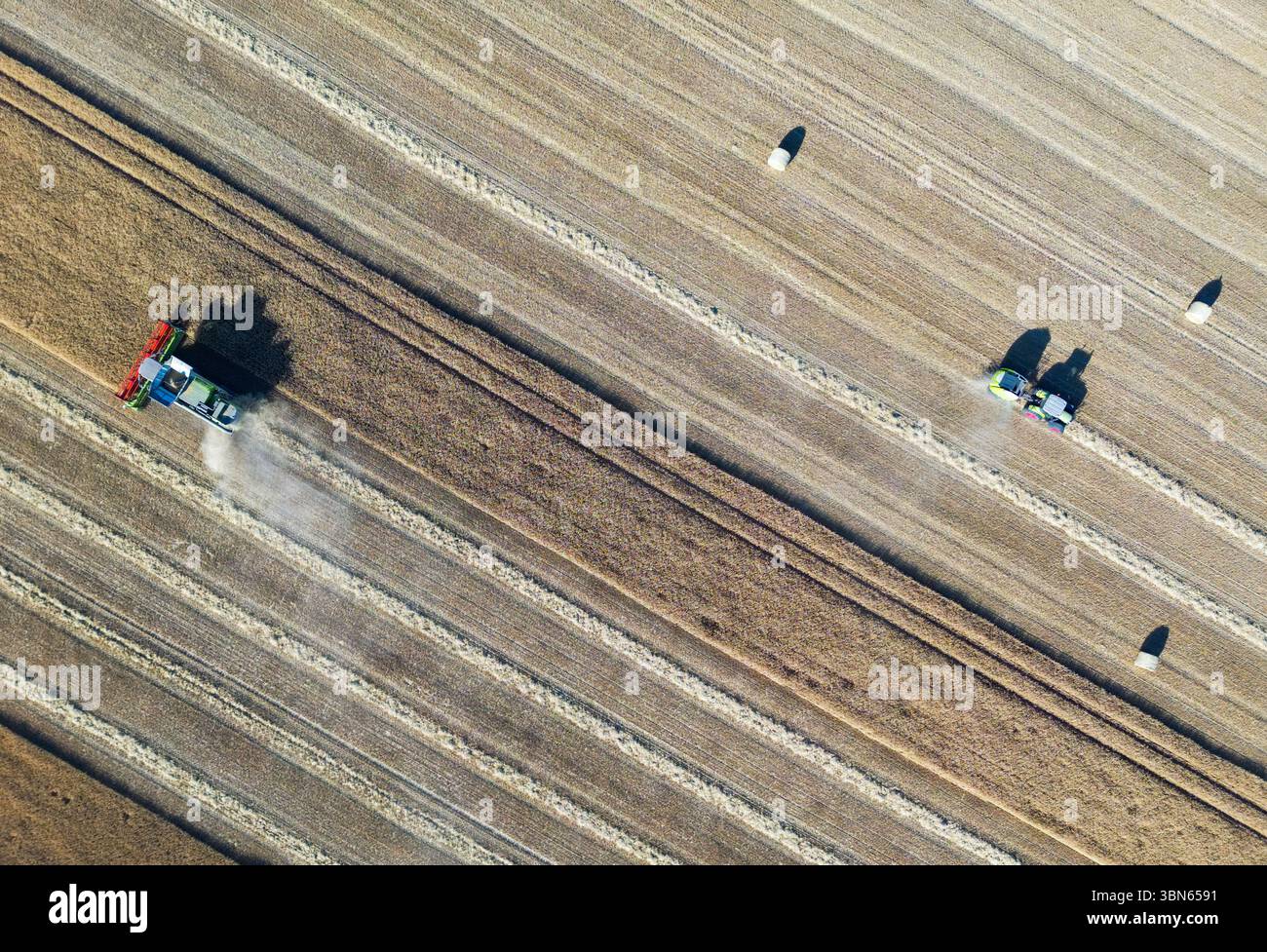 Petersdorf, Allemagne. 30 juin 2025. Un agriculteur récolte de l'orge avec sa moissonneuse-batteuse dans un champ du district d'Oder-Spree dans l'est du Brandebourg, tandis que la paille est pressée en balles rondes (vue aérienne avec un drone). La récolte des céréales commence actuellement sur les champs en Allemagne. Crédit : Patrick Pleul/dpa/Alamy Live News Banque D'Images