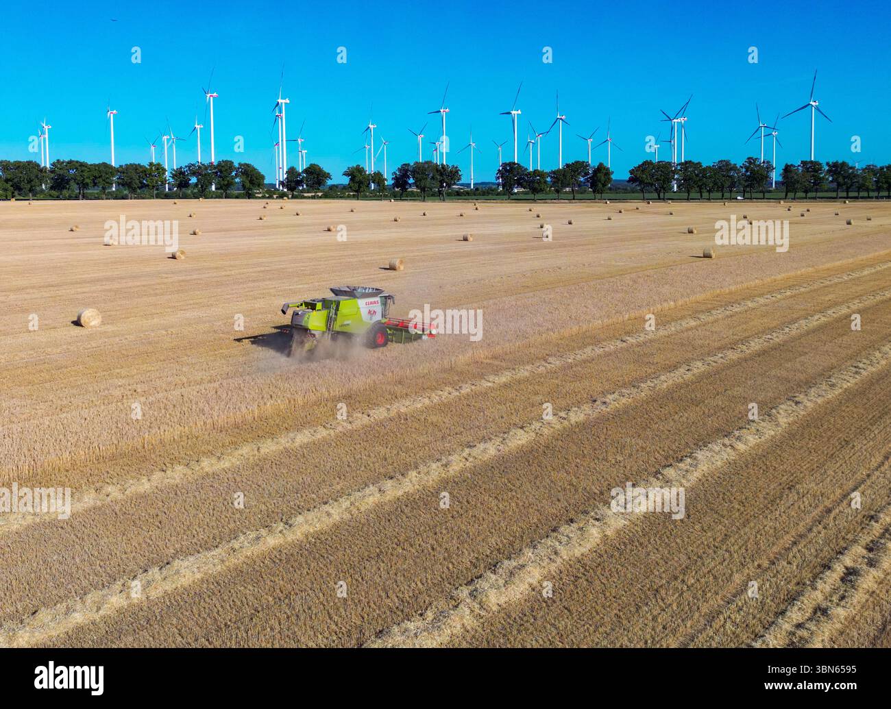 Petersdorf, Allemagne. 30 juin 2025. Un agriculteur récolte de l'orge avec sa moissonneuse-batteuse dans un champ du district d'Oder-Spree dans l'est du Brandebourg (vue aérienne avec un drone). La récolte des céréales commence actuellement sur les champs en Allemagne. Crédit : Patrick Pleul/dpa/Alamy Live News Banque D'Images