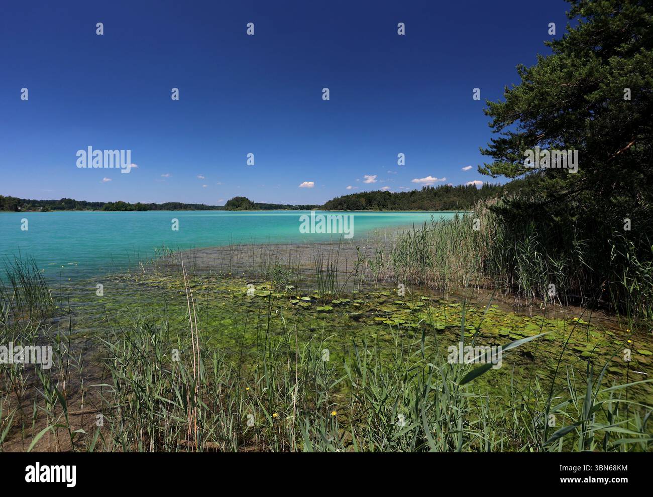 Osterseen, Deutschland. 30 juin 2025. Hier der Blick auf den grossen Ostersee zwischen Iffeldorf und Seeshaupt, Kleinod, türkis, Badesee, Naturschutzgebiet, comme Karibik, Sommer, hitze, baden, Schwimmen, Sonnen, spazieren, wandern, Fahrradfahren, Ausflugsziel, Gut mit der Bahn erreichbar, Sandstrand, Bayern, Oberbayern crédit : dpa/Alamy Live News Banque D'Images