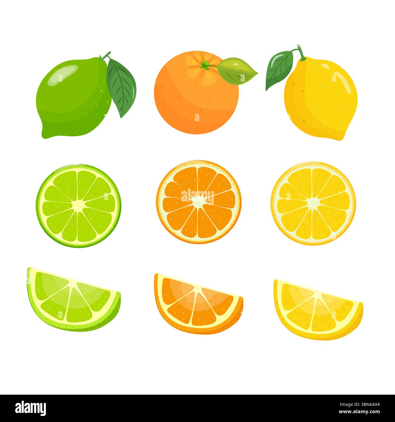 ensemble naturel juteux d'agrumes citron vert, orange, citron. illustration de la coupe entière et transversale des agrumes. dessiné à la main. Illustration de Vecteur