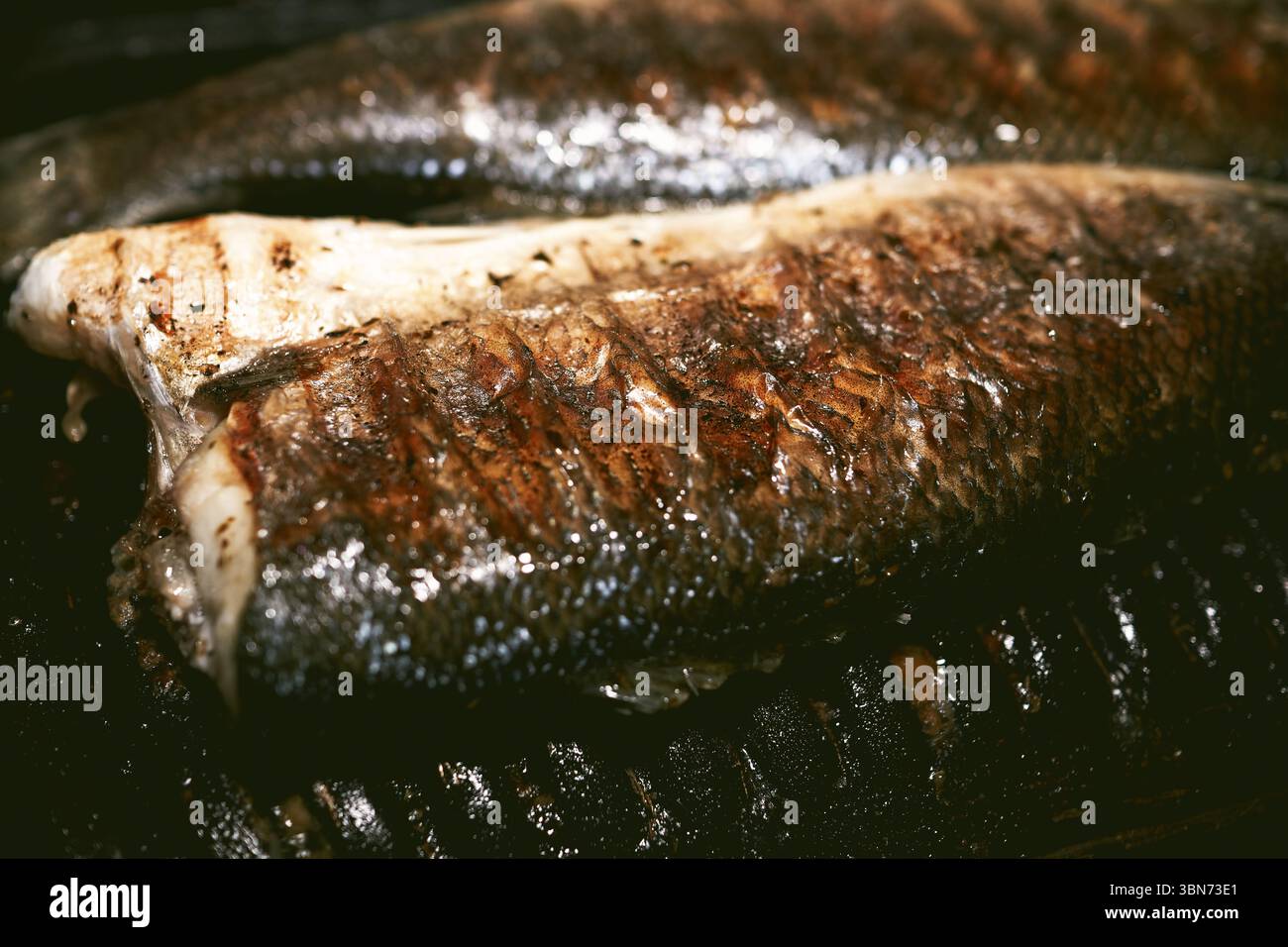 Mer ​​bass sur le grill. Banque D'Images
