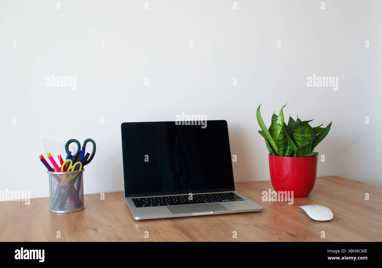Espace de travail moderne et minimaliste avec un ordinateur portable élégant avec un écran vide, une souris sans fil et une plante de serpent vert vif dans un rouge. Banque D'Images