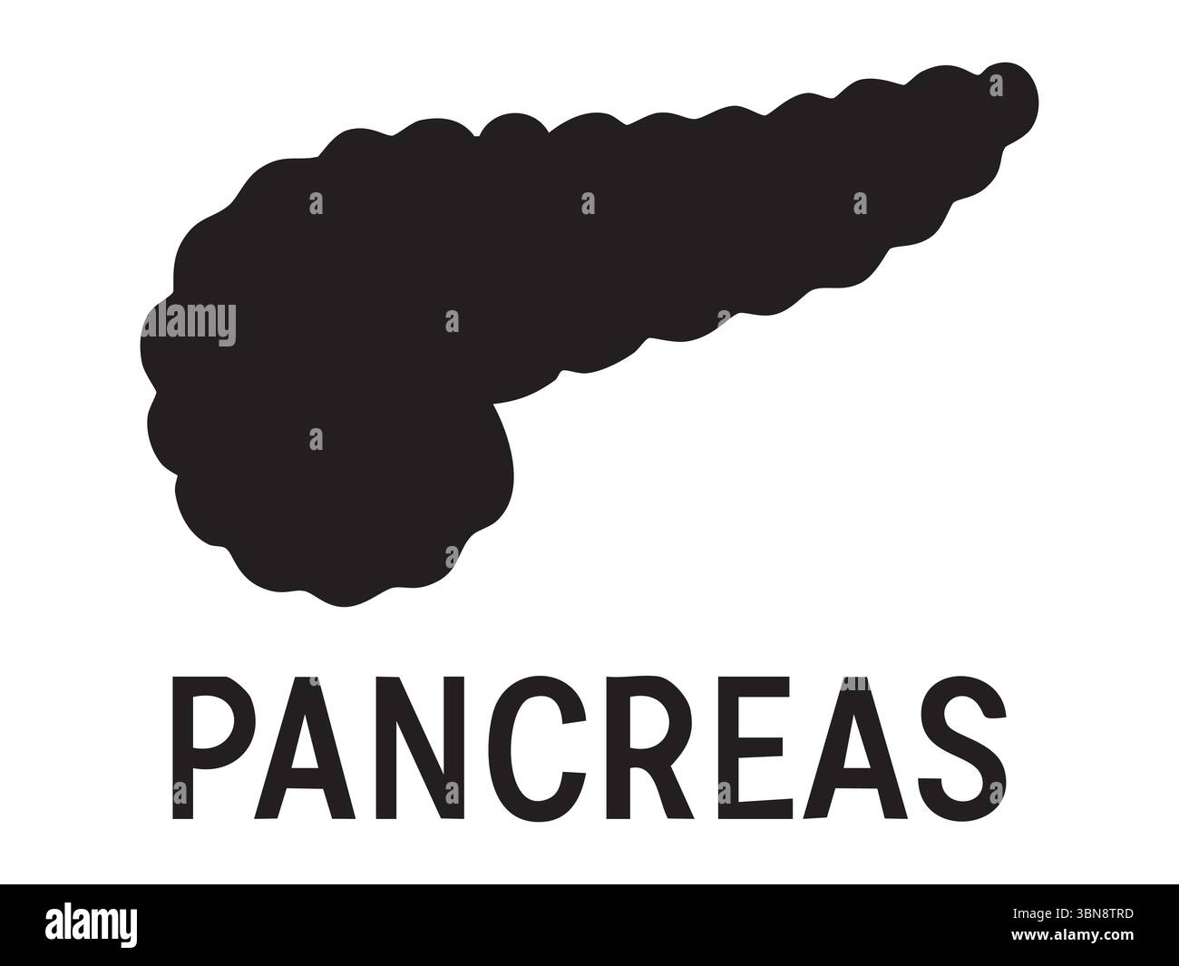 Silhouette noire du pancréas isolé sur fond blanc, illustration graphique. concept d'organe, système digestif, icône médicale, santé, anatomie, de Illustration de Vecteur