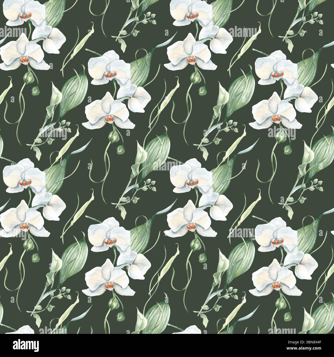 Fleurs blanches avec feuillage vert pastel aquarelle sans couture motif isolé sur sombre. Orchidée et bourgeons de lys lumineux répétition florale fond dessiné à la main Banque D'Images