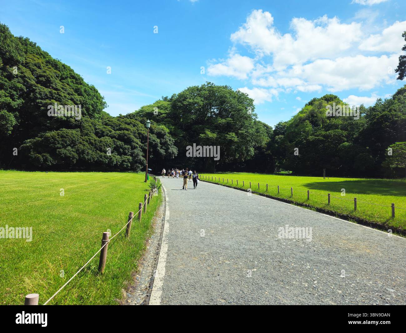Tokyo Yoyogi Park sentier bordé d'arbres sous un ciel d'été clair Banque D'Images