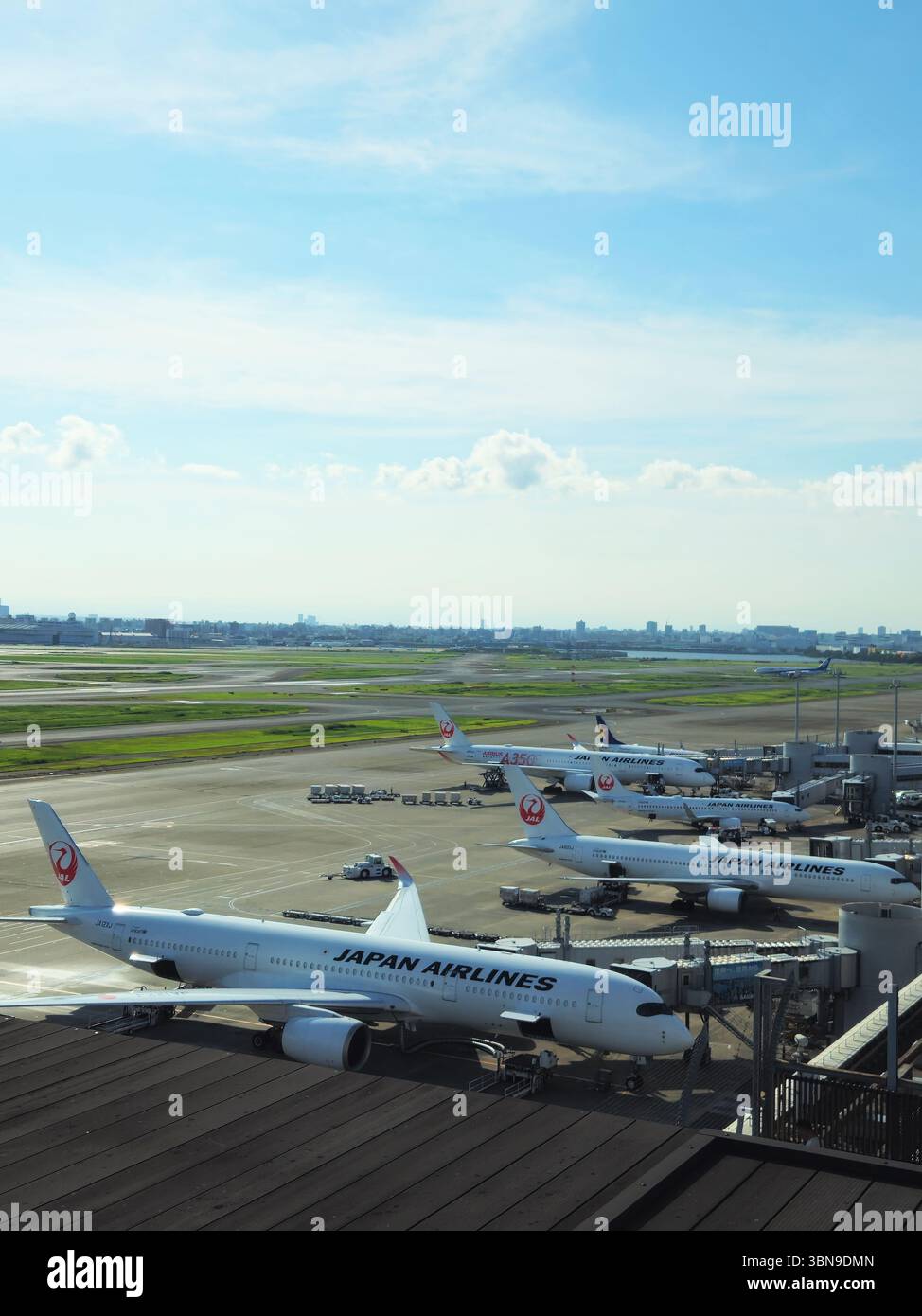 Japan Airlines Fleet sur le tablier de l'aéroport de Tokyo Haneda Banque D'Images