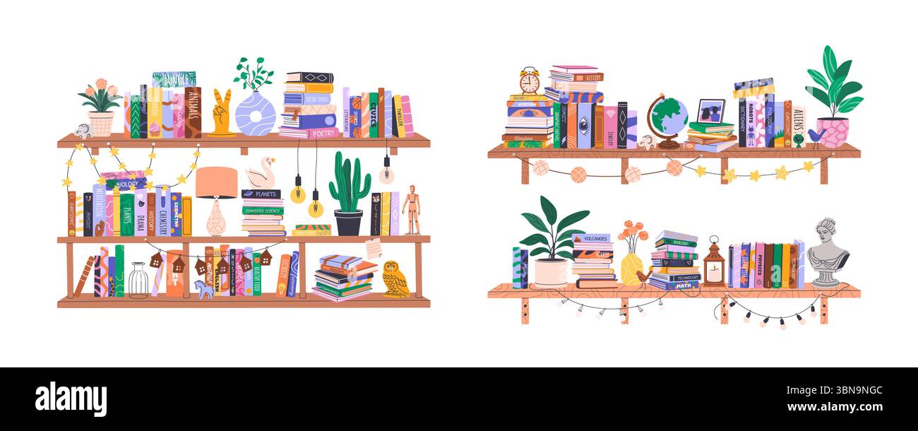 Ensemble d'étagères avec divers livres. Vecteur. Illustration de Vecteur