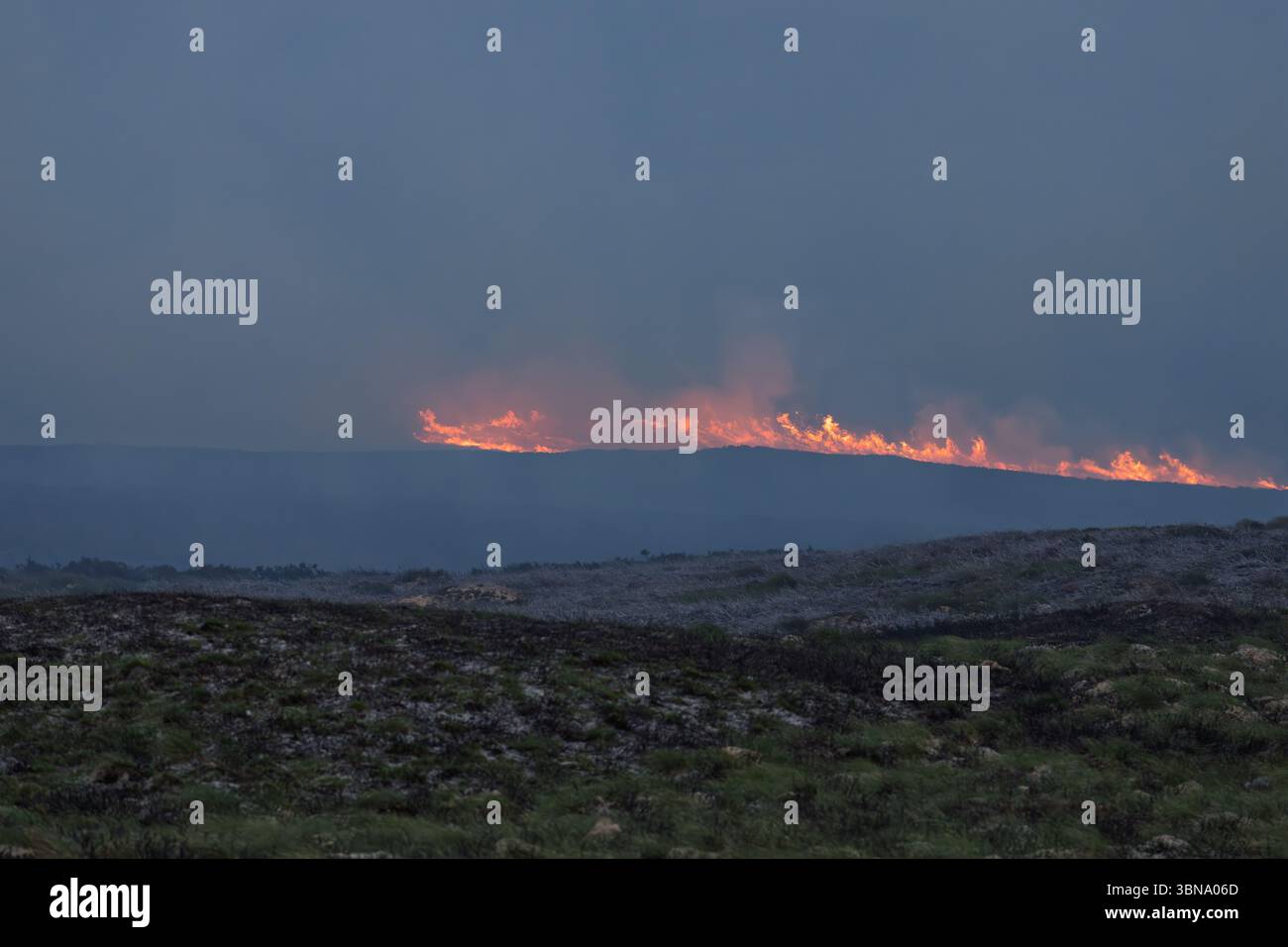 28 juin 2025. Carrbridge et Grantown sur Spey, en Écosse. Il s'agit d'un très grand feu de forêt entraîné par le vent sur toutes les collines entre Carrbridge et Grantown et S. Banque D'Images