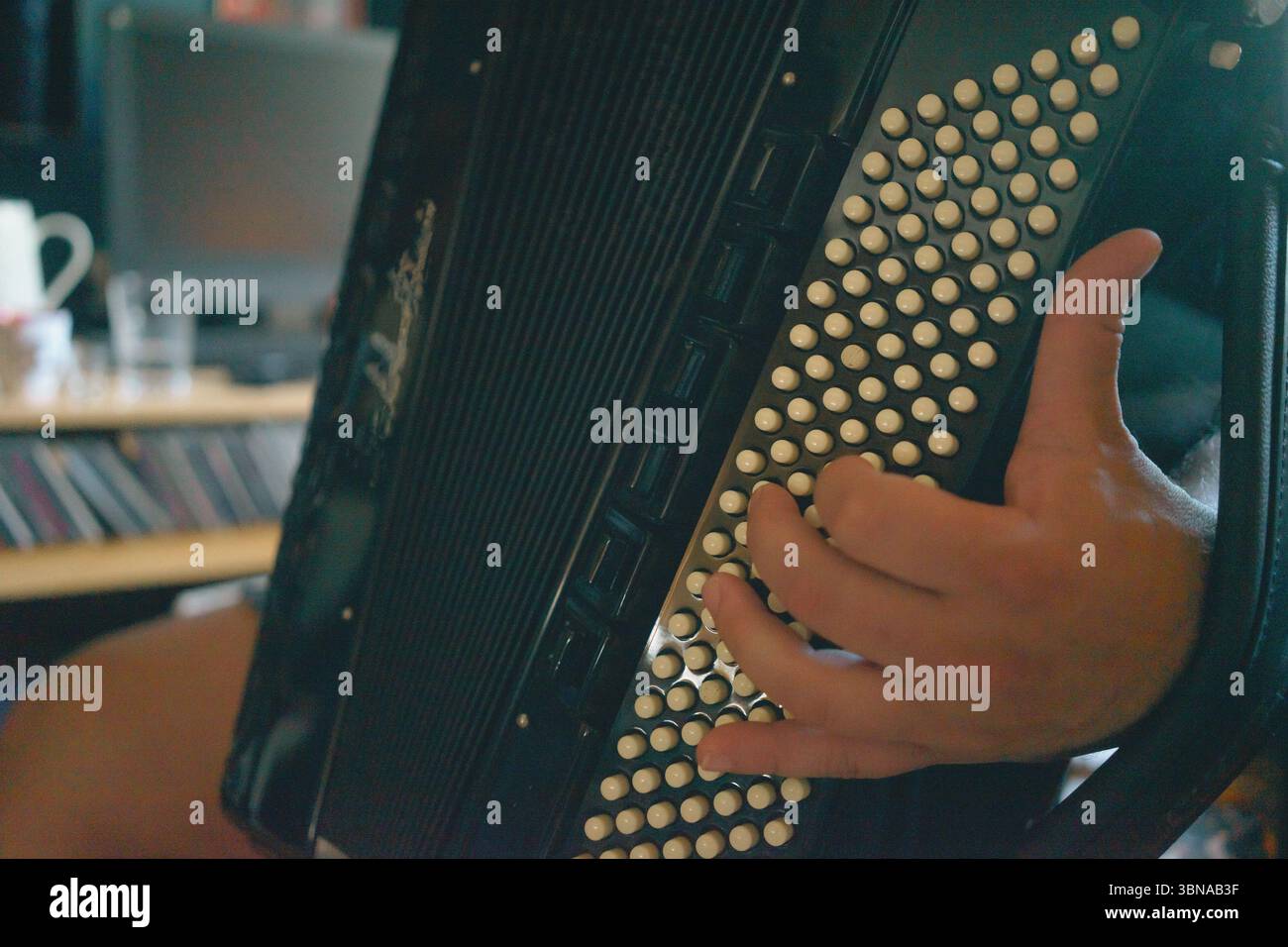 Jouer de l'accordéon, main sur la basse, gros plan. Banque D'Images