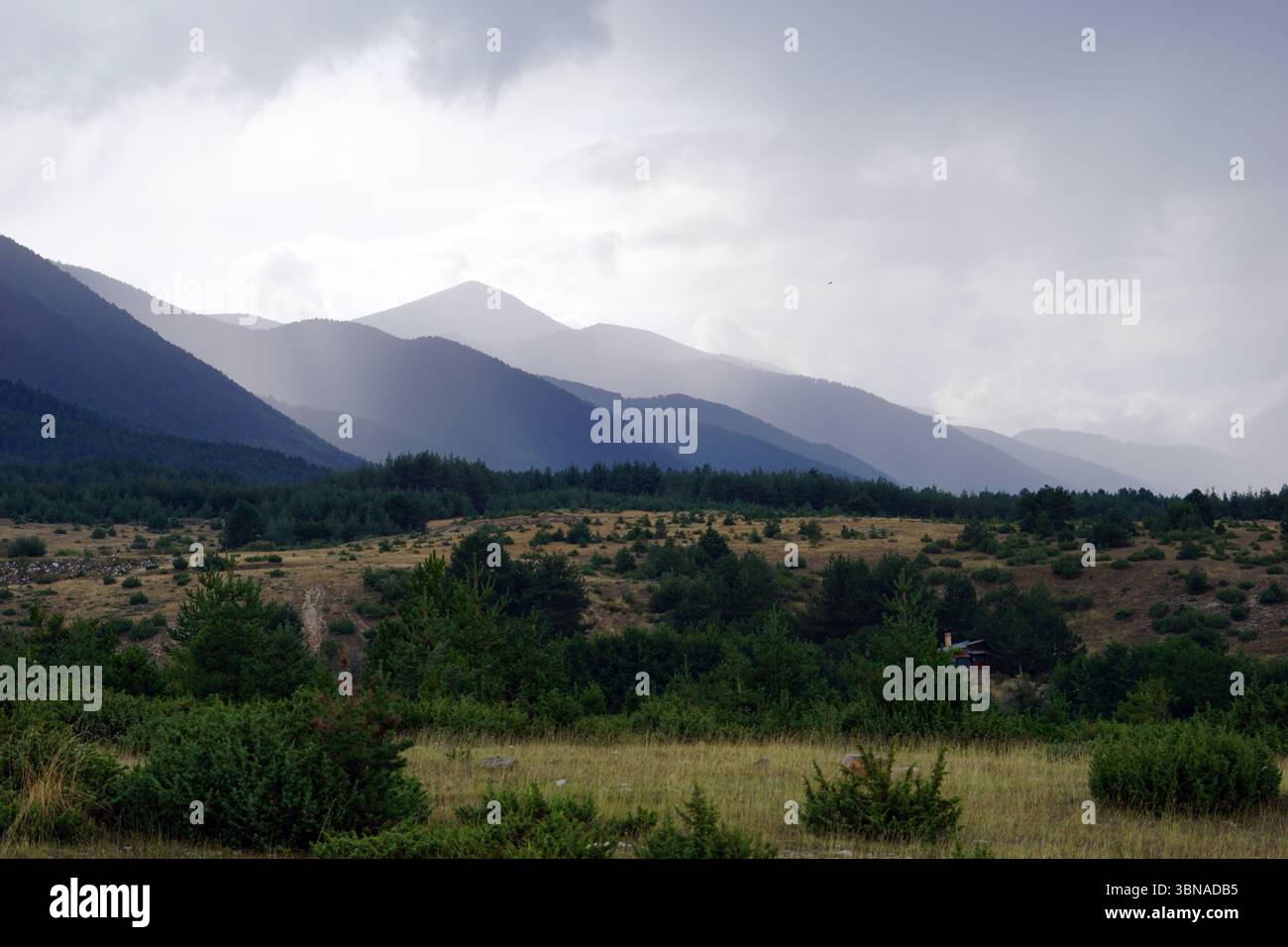 Un paysage montagneux serein sous un ciel nuageux. Les montagnes, avec leurs nuances variées de bleu et de gris, s'étendent à travers l'horizon, créant une sensation de profondeur et d'échelle. Le premier plan est dominé par un champ d'herbe sèche et brun clair, parsemé d'arbres et d'arbustes éparpillés. Les arbres et les buissons sont principalement verts, avec quelques tons bruns ou jaunâtres. Le ciel est couvert avec un mélange de nuages gris et blancs. Une petite structure, peut-être un hangar ou une cabane, est visible au milieu du sol sur le côté droit de l'image., Bansko est une ville pittoresque dans le sud-ouest de la Bulgarie, nichée au pied de Banque D'Images Un paysage montagneux serein sous un ciel nuageux. Les montagnes, avec leurs nuances variées de bleu et de gris, s'étendent à travers l'horizon, créant une sensation de profondeur et d'échelle. Le premier plan est dominé par un champ d'herbe sèche et brun clair, parsemé d'arbres et d'arbustes éparpillés. Les arbres et les buissons sont principalement verts, avec quelques tons bruns ou jaunâtres. Le ciel est couvert avec un mélange de nuages gris et blancs. Une petite structure, peut-être un hangar ou une cabane, est visible au milieu du sol sur le côté droit de l'image., Bansko est une ville pittoresque dans le sud-ouest de la Bulgarie, nichée au pied de Banque D'Images