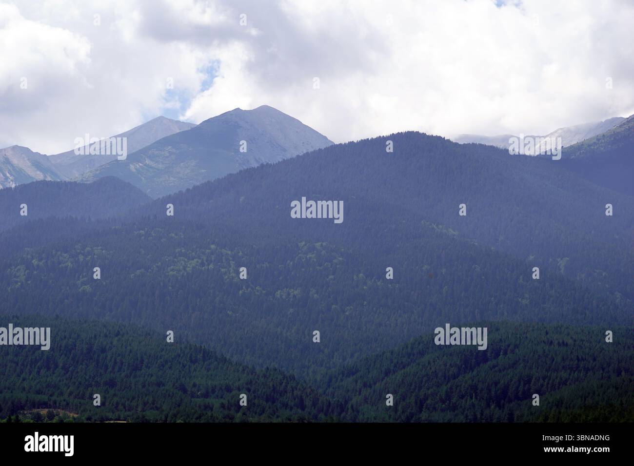 Un paysage montagneux avec une gamme de sommets et de vallées. Les montagnes sont couvertes d'une forêt dense d'arbres vert foncé, avec certaines zones montrant des notes de feuillage vert clair ou vert jaunâtre. Les pics sont principalement bruns et gris, avec quelques zones de vert. Le ciel est couvert avec un mélange de nuages blancs et gris. L'image est prise d'un point de vue élevé, offrant une vue panoramique du paysage. Un œil d'artiste et l'imagination façonné légende., Bansko est une ville pittoresque dans le sud-ouest de la Bulgarie, nichée au pied des montagnes Pirin. Banque D'Images Un paysage montagneux avec une gamme de sommets et de vallées. Les montagnes sont couvertes d'une forêt dense d'arbres vert foncé, avec certaines zones montrant des notes de feuillage vert clair ou vert jaunâtre. Les pics sont principalement bruns et gris, avec quelques zones de vert. Le ciel est couvert avec un mélange de nuages blancs et gris. L'image est prise d'un point de vue élevé, offrant une vue panoramique du paysage. Un œil d'artiste et l'imagination façonné légende., Bansko est une ville pittoresque dans le sud-ouest de la Bulgarie, nichée au pied des montagnes Pirin. Banque D'Images