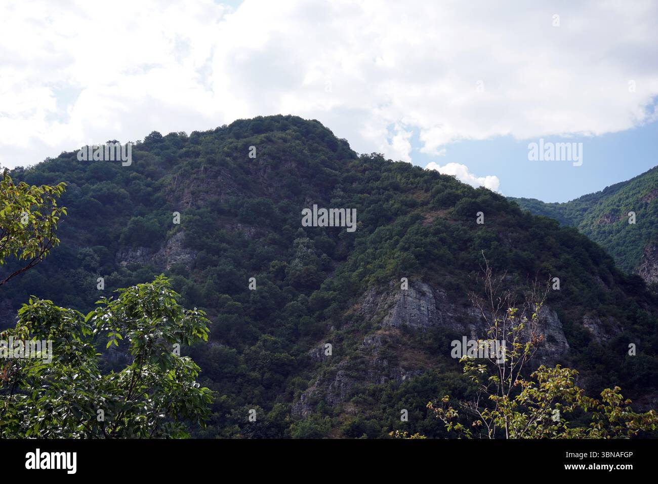 Un paysage montagneux avec une falaise abrupte et rocheuse recouverte d'une végétation dense et vert foncé. La falaise est partiellement obscurcie par des arbres et des arbustes, créant une impression de profondeur et d'échelle. Le ciel au-dessus est bleu clair avec des nuages blancs dispersés, et l'image est prise sous un angle bas, soulignant la grandeur de la montagne. Le flanc de la montagne est principalement composé de roches gris foncé ou noires, certaines zones montrant des signes d'érosion ou d'altération. La végétation à flanc de montagne est principalement vert foncé, avec certaines zones de vert plus clair ou de vert jaunâtre. Un œil d'artiste et imagi Banque D'Images Un paysage montagneux avec une falaise abrupte et rocheuse recouverte d'une végétation dense et vert foncé. La falaise est partiellement obscurcie par des arbres et des arbustes, créant une impression de profondeur et d'échelle. Le ciel au-dessus est bleu clair avec des nuages blancs dispersés, et l'image est prise sous un angle bas, soulignant la grandeur de la montagne. Le flanc de la montagne est principalement composé de roches gris foncé ou noires, certaines zones montrant des signes d'érosion ou d'altération. La végétation à flanc de montagne est principalement vert foncé, avec certaines zones de vert plus clair ou de vert jaunâtre. Un œil d'artiste et imagi Banque D'Images