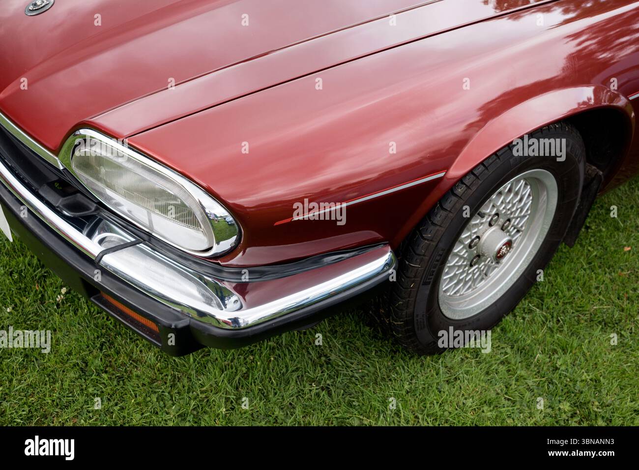 Jaguar XJS. Burnley Classic Vehicle Show 2025. Banque D'Images