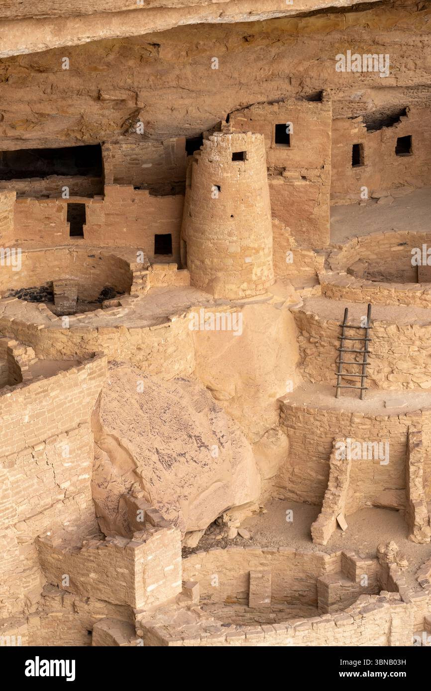 Cliff Dwellings, Mesa Verde National Park, Colorado, USA, par Dominique Braud/Dembinsky photo Assoc Banque D'Images