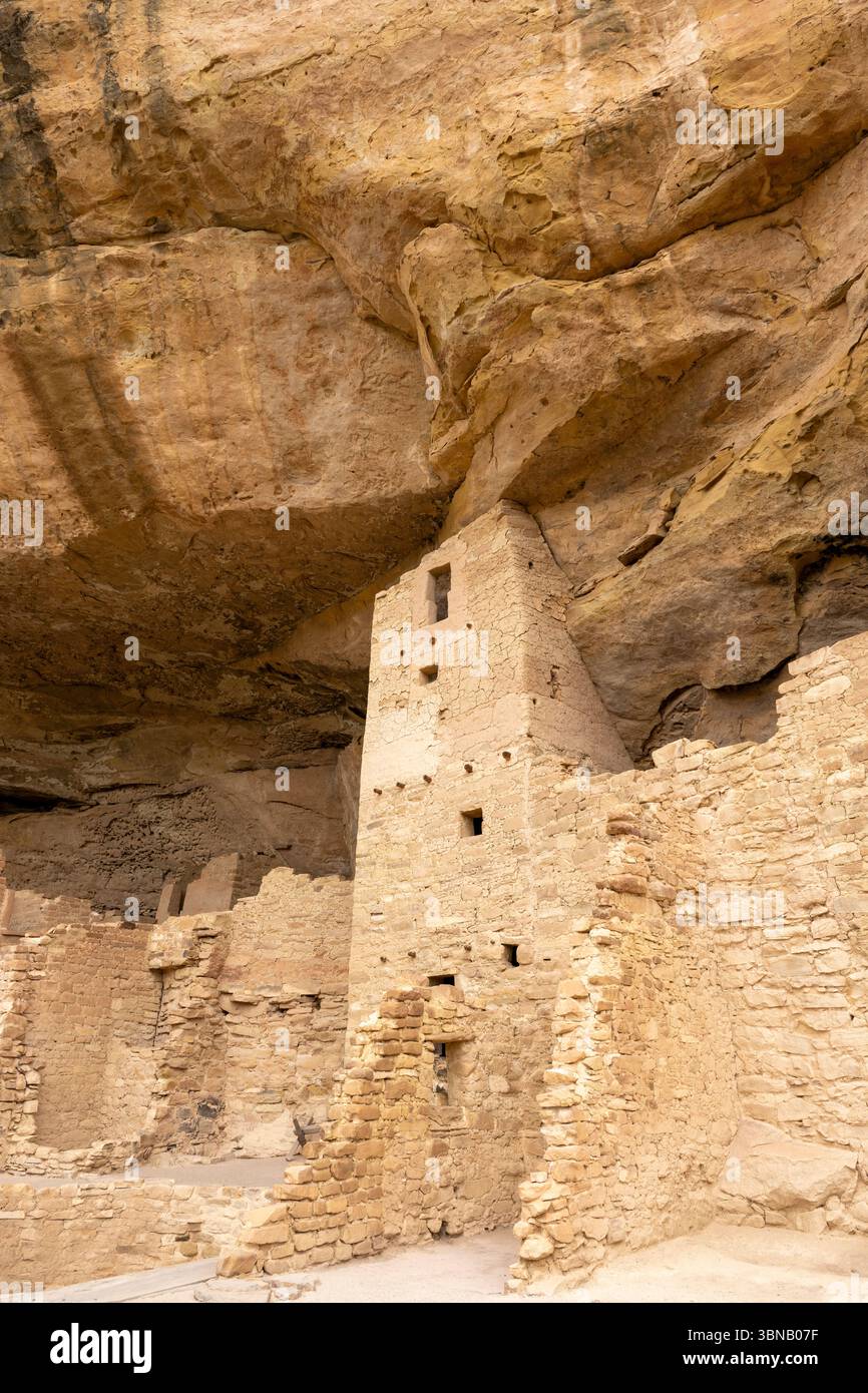Cliff Dwellings, Mesa Verde National Park, Colorado, USA, par Dominique Braud/Dembinsky photo Assoc Banque D'Images