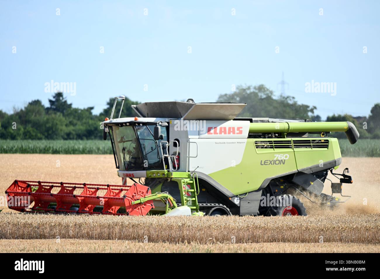 Pulheim, Allemagne. 01 juillet 2025. Un agriculteur récolte de l'orge dans un champ avec sa moissonneuse-batteuse. La récolte des céréales commence dans les champs en Allemagne. Crédit : Federico Gambarini/dpa/Alamy Live News Banque D'Images