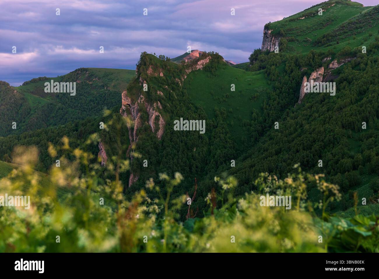 Belle vue crépusculaire sur les montagnes verdoyantes et les falaises avec des fleurs sauvages au premier plan sous un ciel coloré Banque D'Images