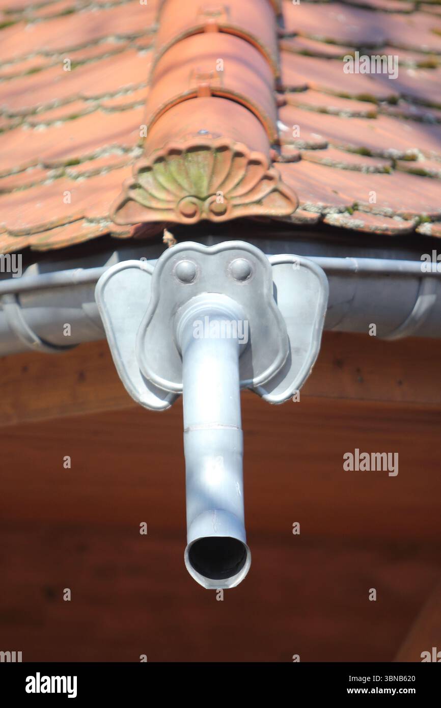 Tuyau de drainage de toit en forme de tête d'éléphant avec le tronc comme tuyau de drainage Banque D'Images