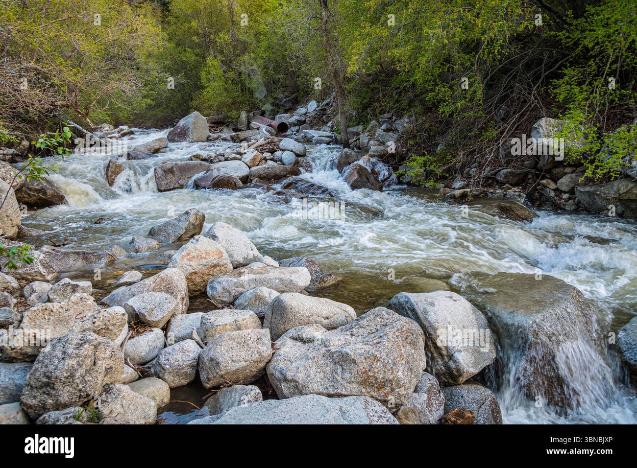 Roaring Stream, Cottonwood Canyon, Salt Lake City Utah États-Unis Banque D'Images