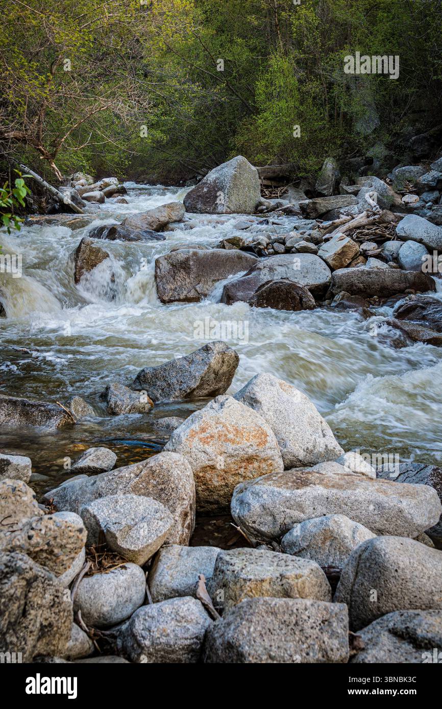 Roaring Stream, Cottonwood Canyon, Salt Lake City Utah États-Unis Banque D'Images