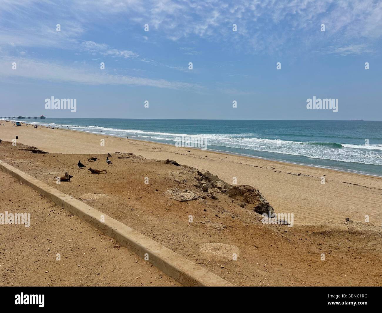 Vue large d'une plage ensoleillée sur une belle journée d'été en juin à Huntington Beach, SoCal, Californie du Sud, États-Unis Banque D'Images