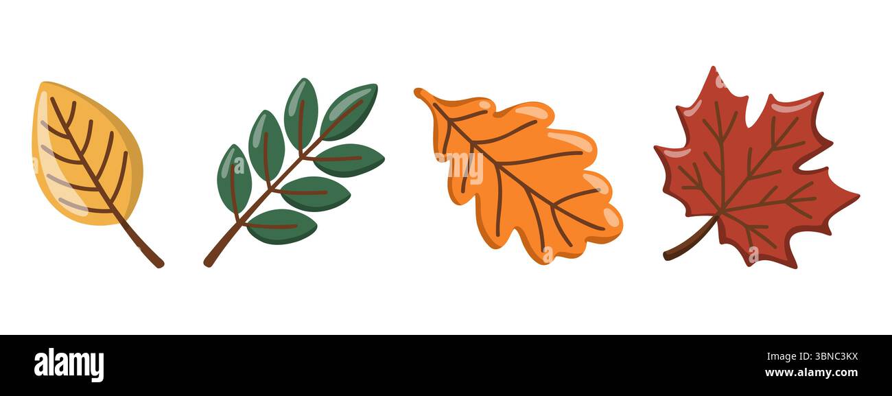 Feuilles d'automne serties avec des branches d'érable, de chêne et de feuillage. Herbier de la saison d'automne. Illustration isolée de vecteur de dessin animé Illustration de Vecteur