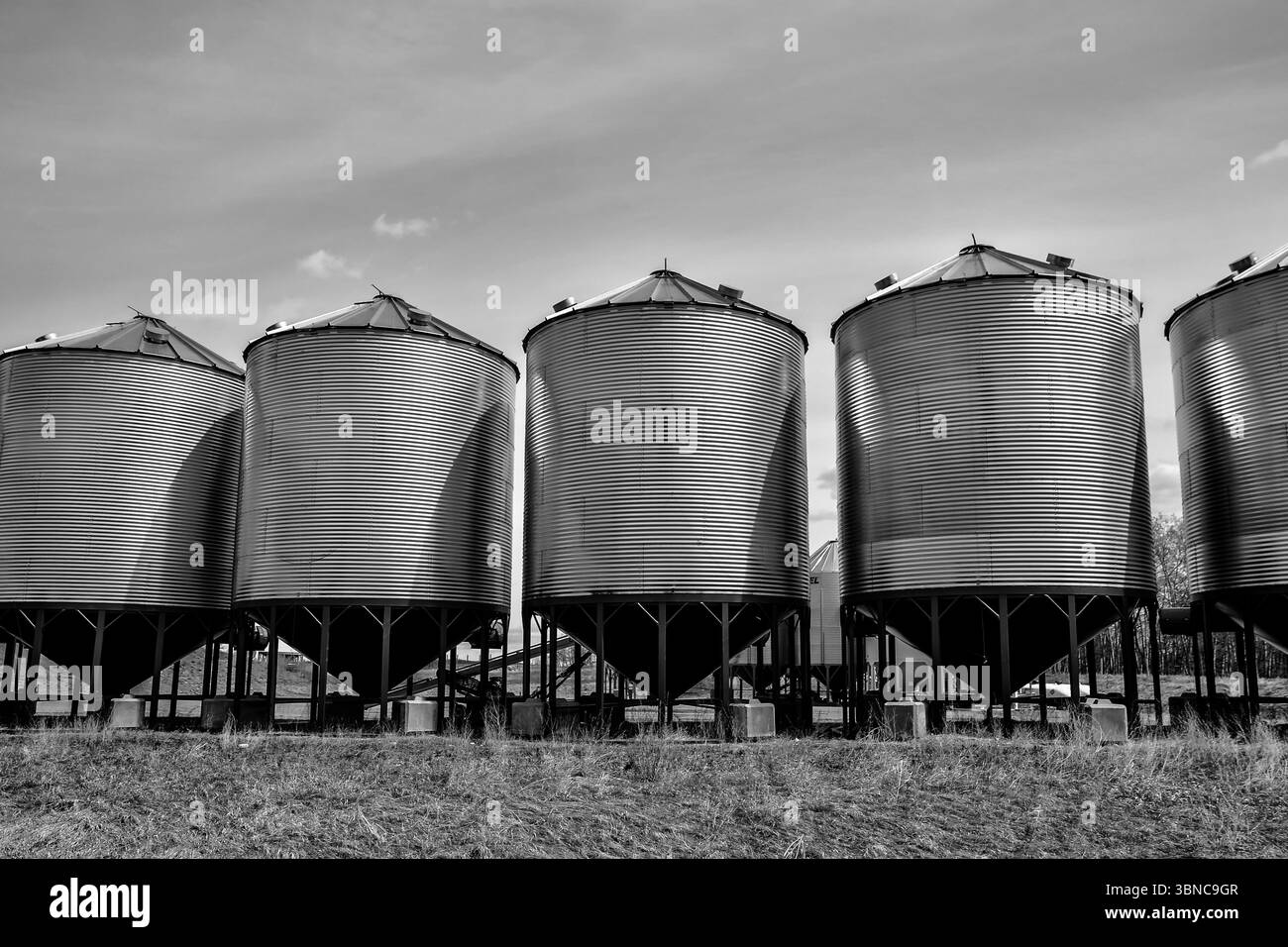 Silos de stockage du grain dans la campagne albertaine autour de Pine Lake et Red Deer Banque D'Images Silos de stockage du grain dans la campagne albertaine autour de Pine Lake et Red Deer Banque D'Images