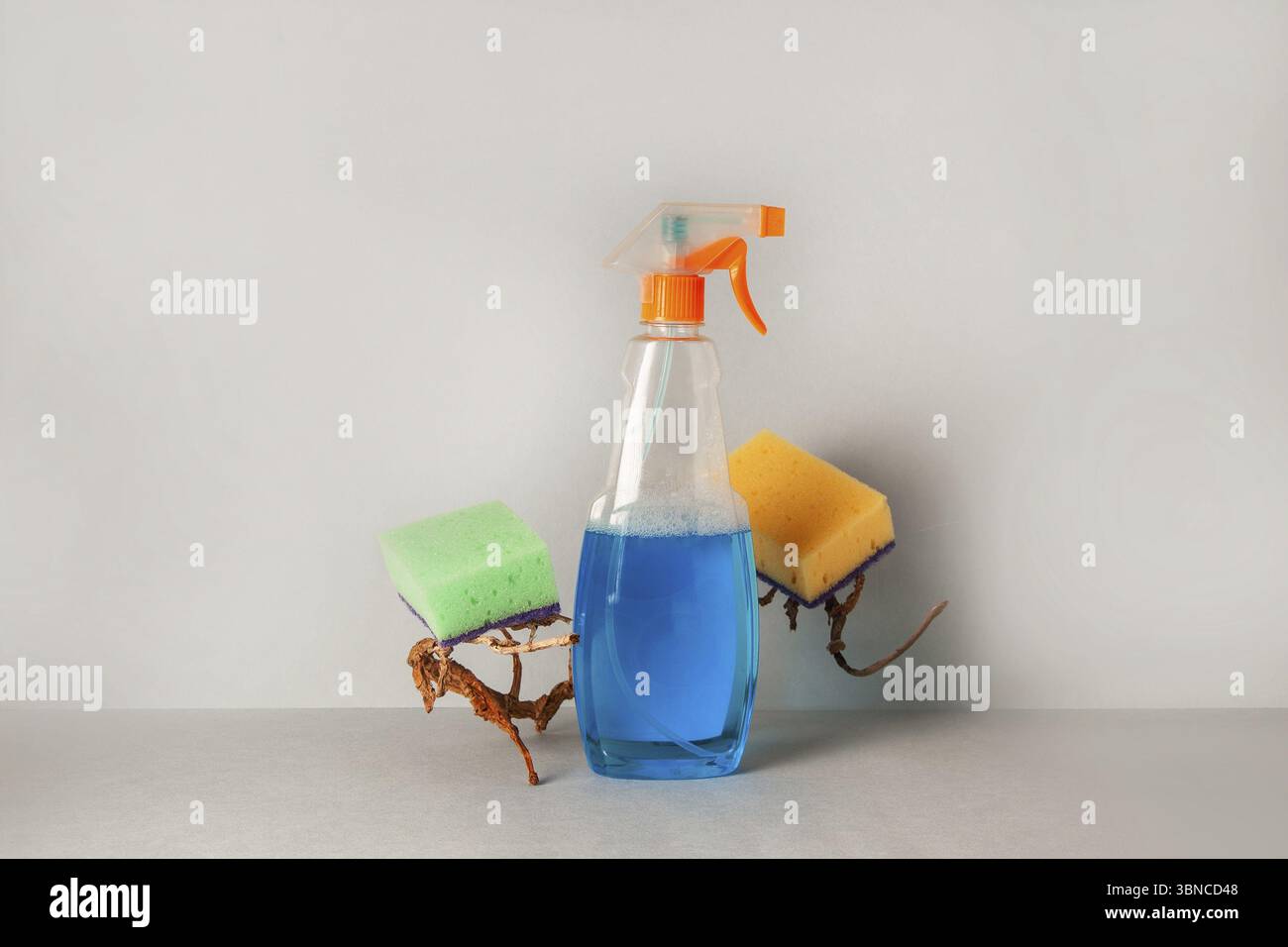 Agent nettoyant et éponges colorées sur fond clair Banque D'Images