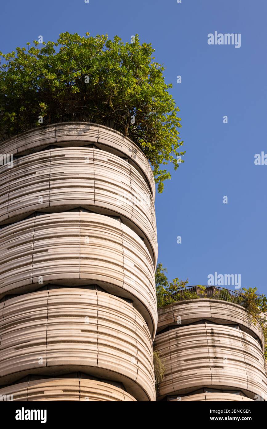 The Hive, NTU architecture de Singapour conçue par Thomas Heatherwick Banque D'Images