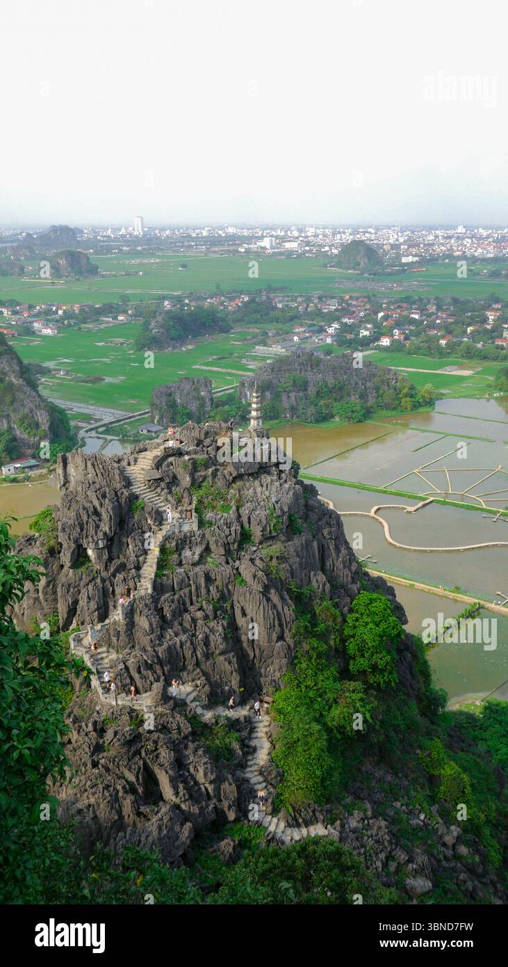 Vue panoramique du pic Hang Mua et des rizières à Tam Coc, Ninh Binh, Vietnam Banque D'Images