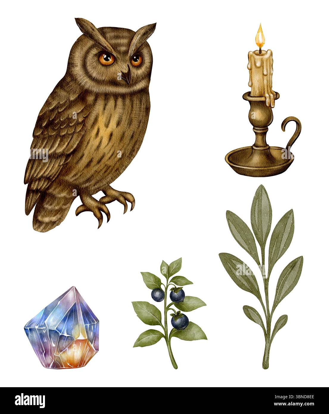 Ensemble d'illustration aquarelle d'un hibou brun avec une bougie allumée, un cristal multicolore et des branches feuillues. Un design magique et mystique parfait Banque D'Images