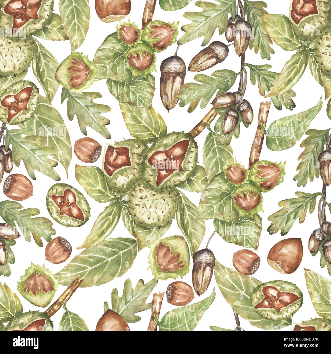 Aquarelle sans couture motif de feuillage d'automne avec châtaignes, Acorns et noisettes, la flore de récolte Banque D'Images