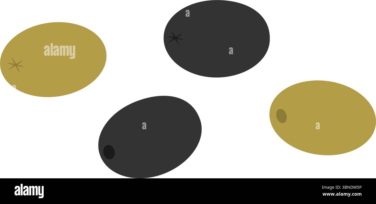Olives fruits noirs et verts vue avant et arrière salade grecque ingrédient traditionnel élément à main levée. Illustration vectorielle isolée thèmes alimentaires cartes, menu, affiche ou bannière, dépliants, étiquette, étiquette de prix Illustration de Vecteur