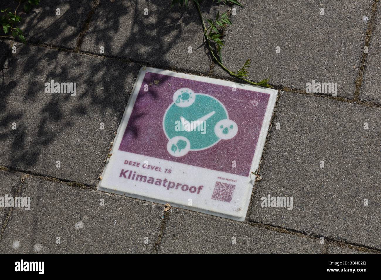 Un carreau Klimaatproof « Climateproof » intégré dans un trottoir, avec des icônes environnementales et un QR code, favorisant la durabilité et la résilience urbaine. Banque D'Images