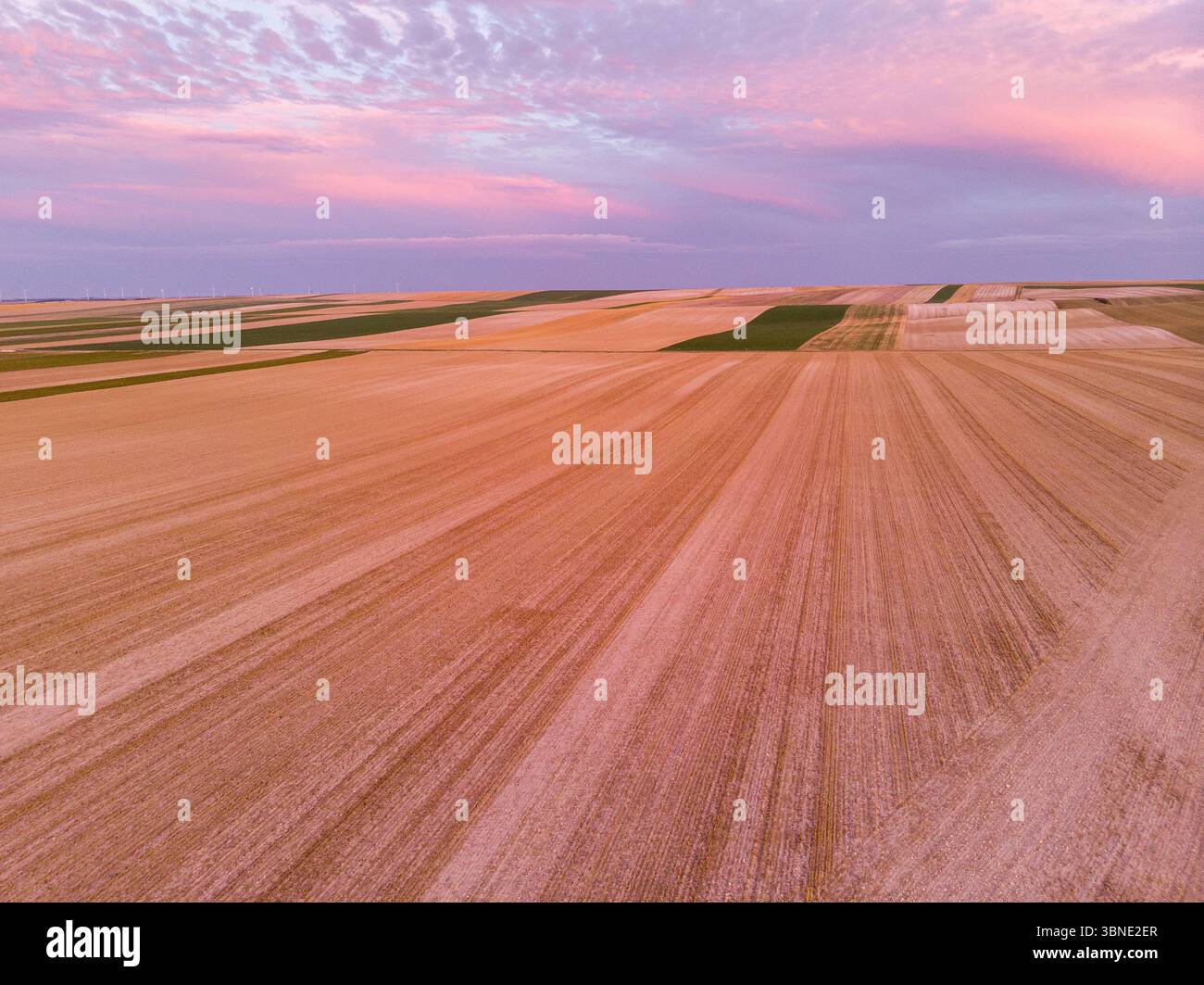 Vue aérienne des champs de blé fauché avec nuages roses dans la région de Champagne Banque D'Images
