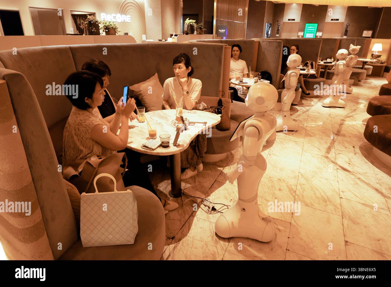 SALON DE POIVRE CAFÉ UNIQUE EXPÉRIENCE TOKYO Banque D'Images