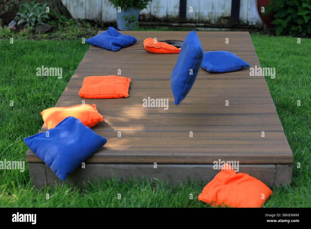 Sac Cornhole bleu en plein air, sur le point de rejoindre des sacs orange sur un panneau Cornhole Banque D'Images Sac Cornhole bleu en plein air, sur le point de rejoindre des sacs orange sur un panneau Cornhole Banque D'Images