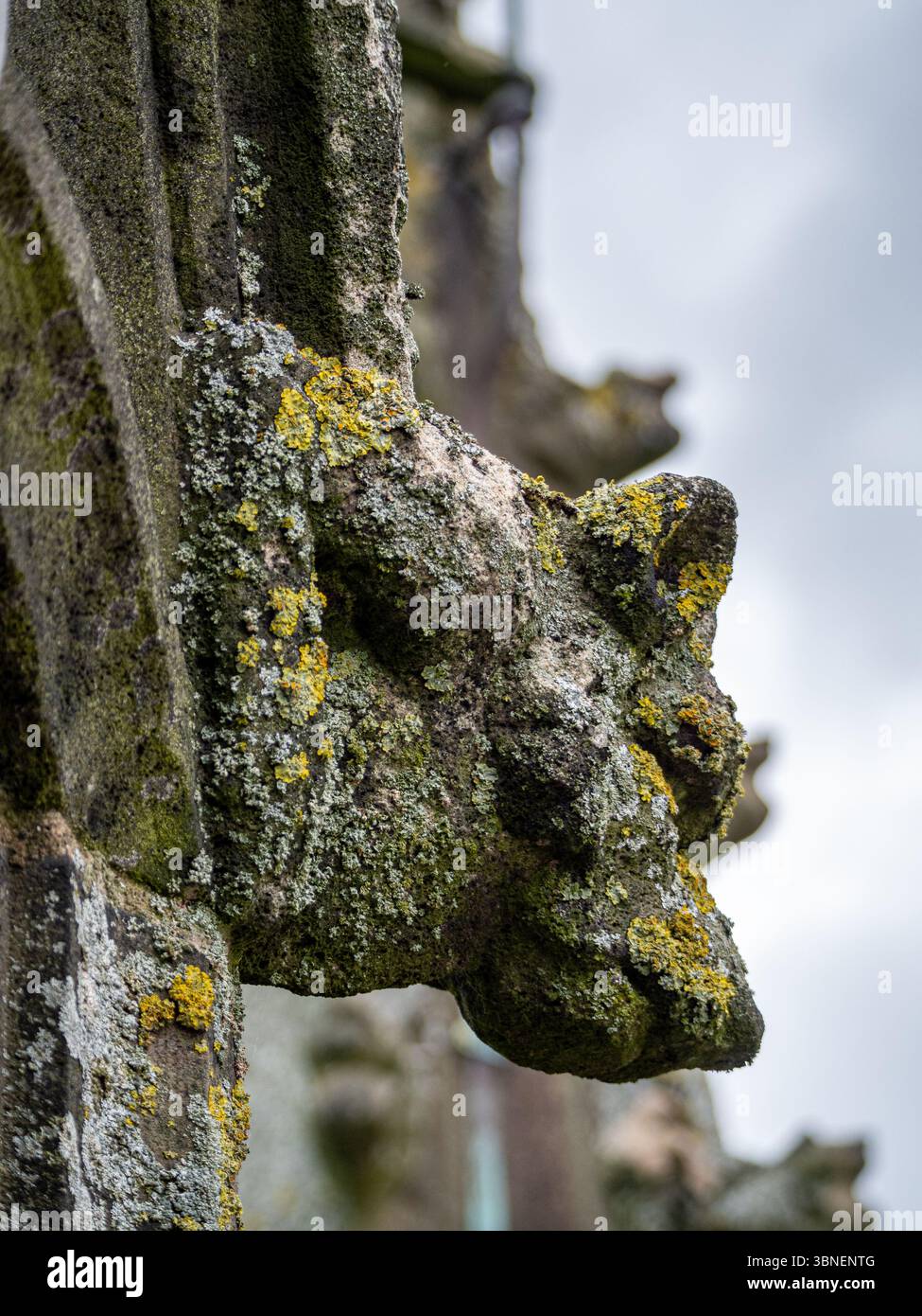 Gargouille sur le bord du toit de la tour gardant St.James la Grande église à Gawsworth, Cheshire Banque D'Images