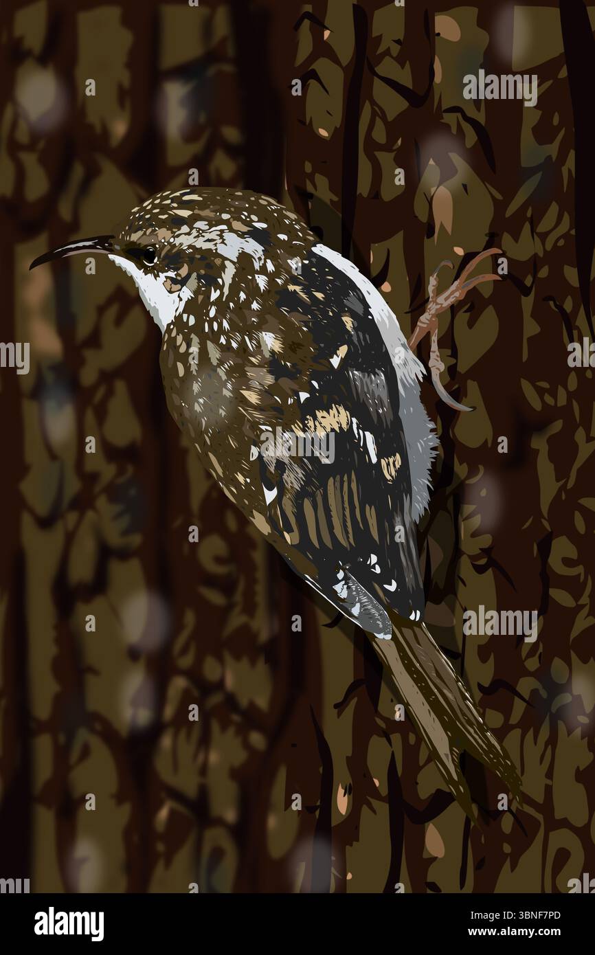 Illustration d'un trecreur eurasien Banque D'Images